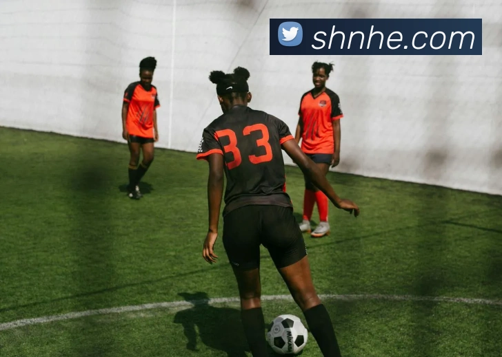 开云平台生态图